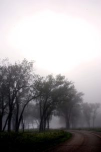 FoggyMorning
