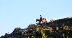 Medora Musical 2