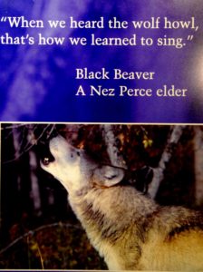 Black Bever Quotation