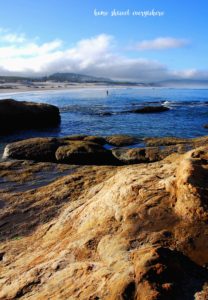 Cannon Beach