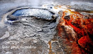 Geyser Pool 6