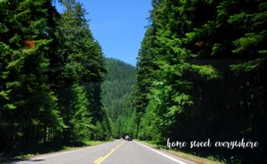Lush Forests