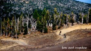 Mountain Biking