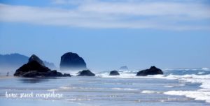Near Cannon Beach 3