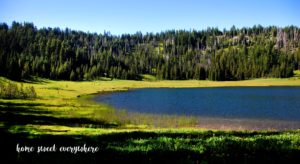 Todd Lake