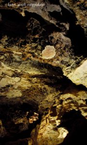 Wind Cave's Box Work
