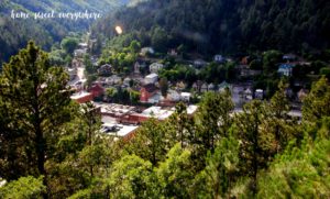 Deadwood from above