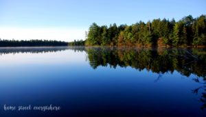 gemini-lake