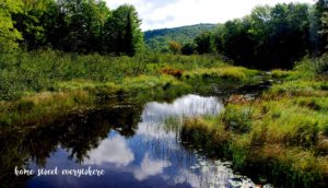 into-mirror-lake